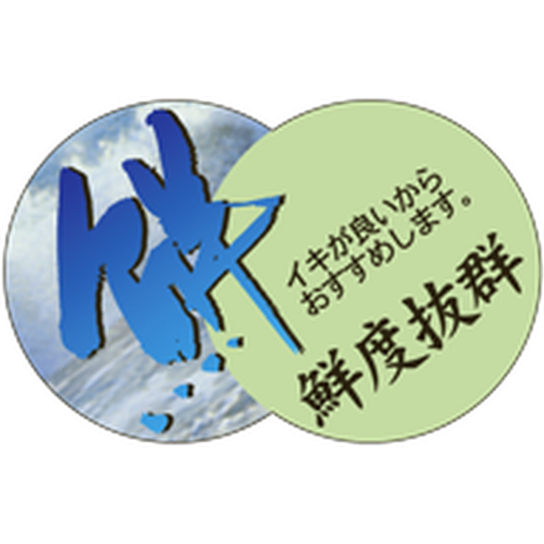 ARC POPシール 鮮度抜群ｶﾗｰ BL【50mm×32mm】300枚入 LH316S-01