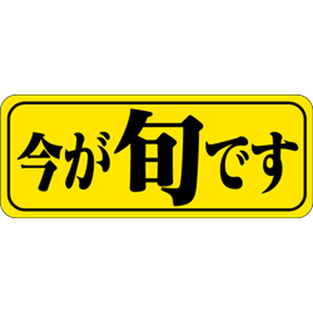 ARC POPシール 今が旬です PI【38mm×15mm】1000枚入 LH40S-01