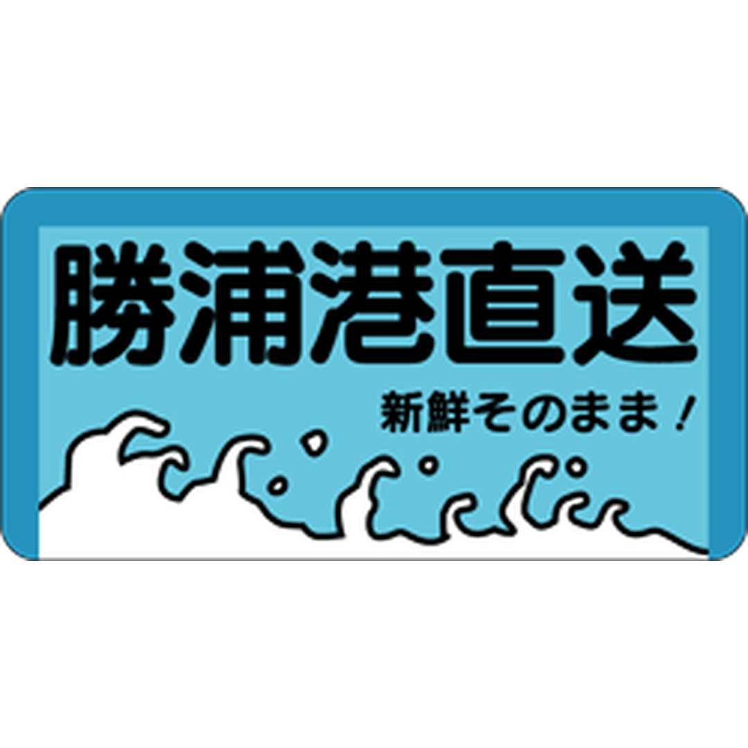 ARC POPシール 勝浦港直送 RE【40mm×20mm】500枚入 LH55S-01