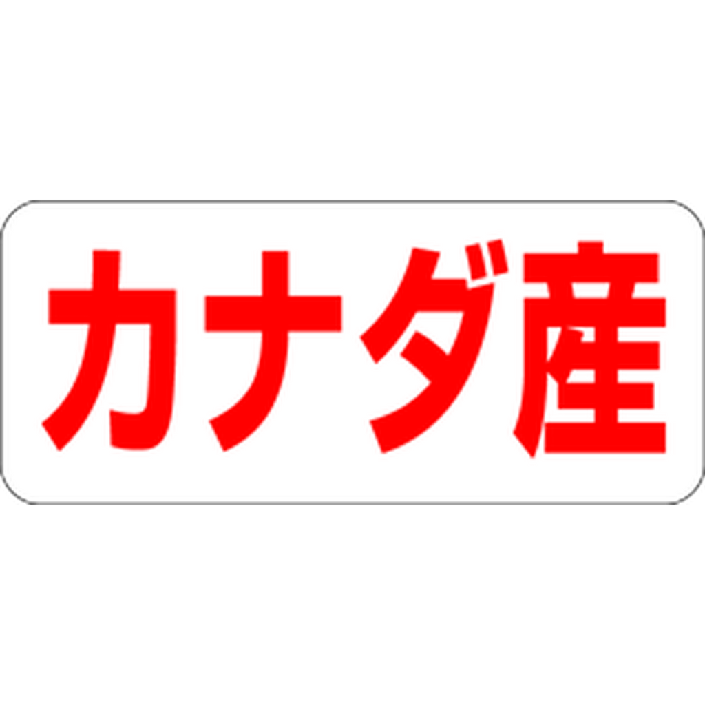 ARC POPシール カナダ産 RE【35mm×15mm】500枚入 LQ488S-01