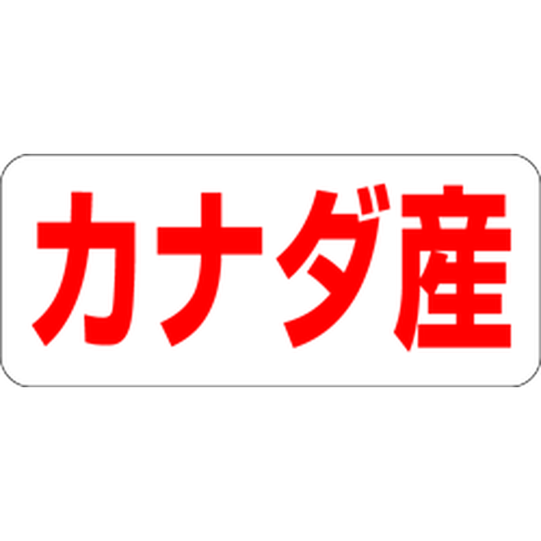 ARC POPシール カナダ産 RE【35mm×15mm】500枚入 LQ488S-01