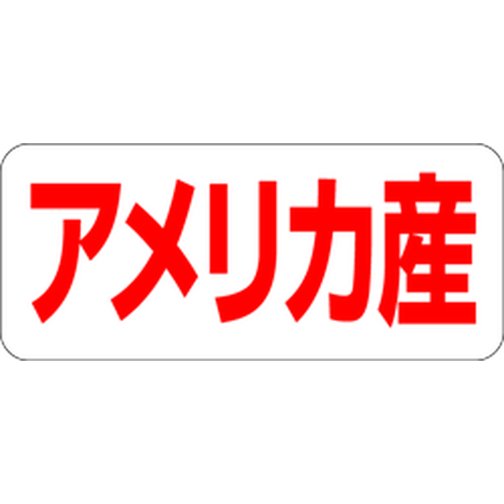 ARC POPシール アメリカ産 RE【35mm×15mm】500枚入 LQ489S-01