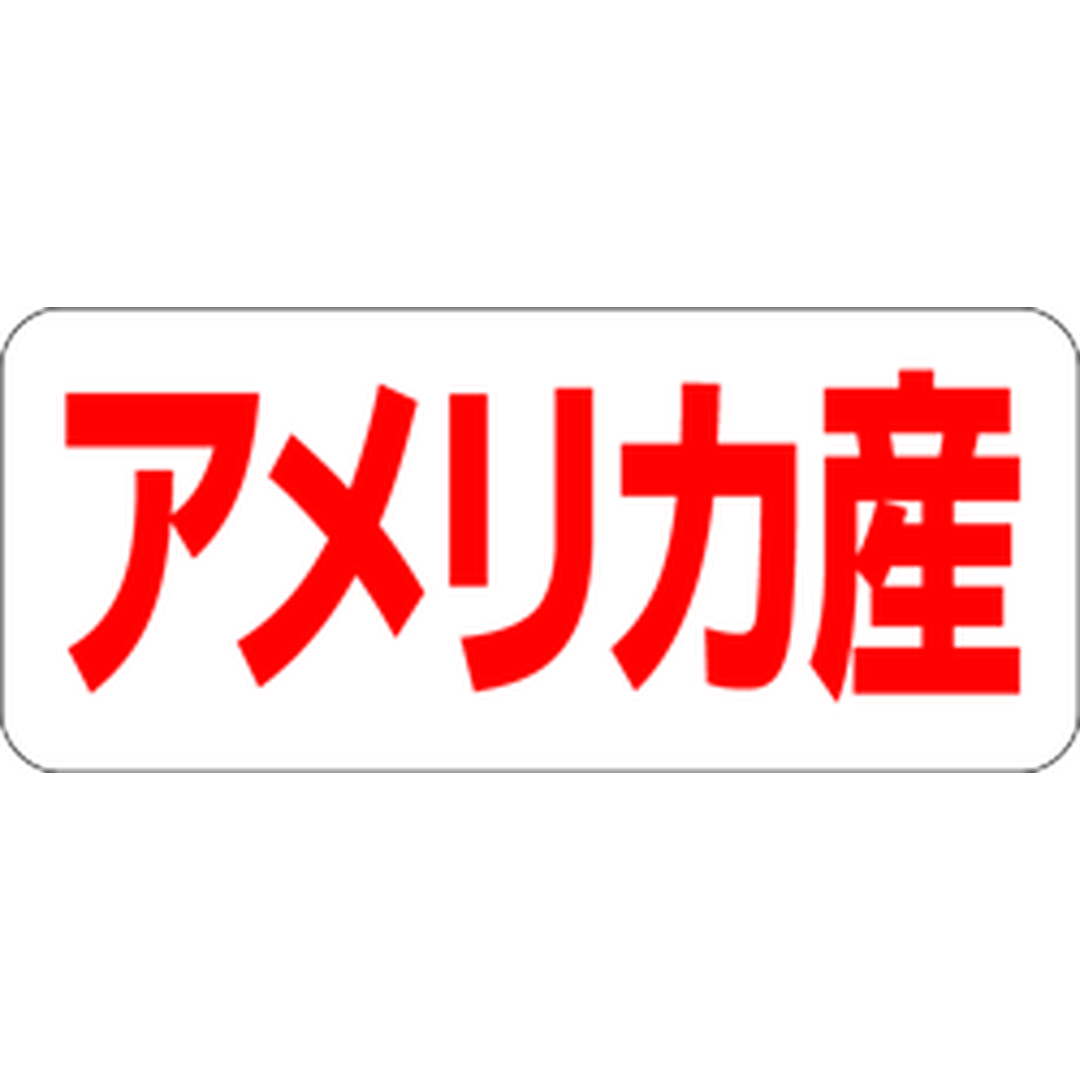 ARC POPシール アメリカ産 RE【35mm×15mm】500枚入 LQ489S-01