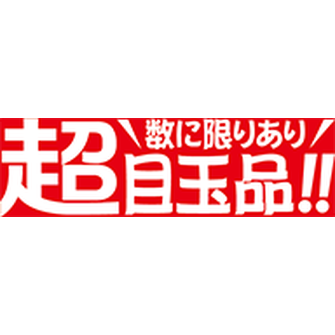 ARC POPシール 超目玉品!! RE【25mm×80mm】500枚入 LQ951S-01