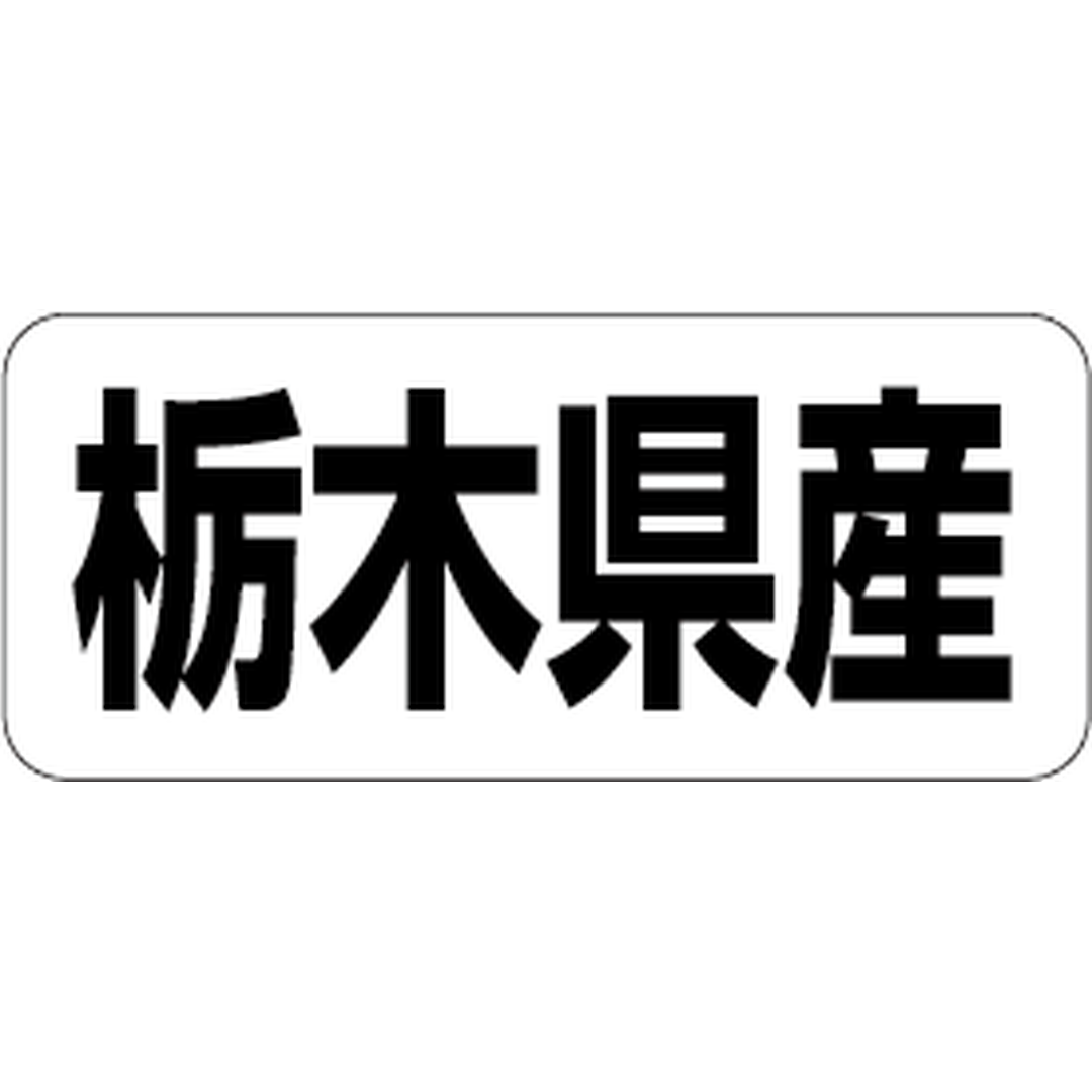 ARC POPシール 栃木県産 RE【35mm×15mm】500枚入 LRF0009S-01