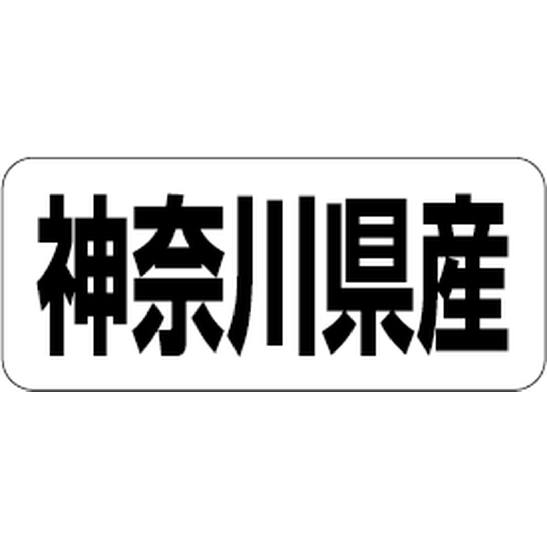ARC POPシール 神奈川県産 RE【35mm×15mm】500枚入 LRF0014S-01