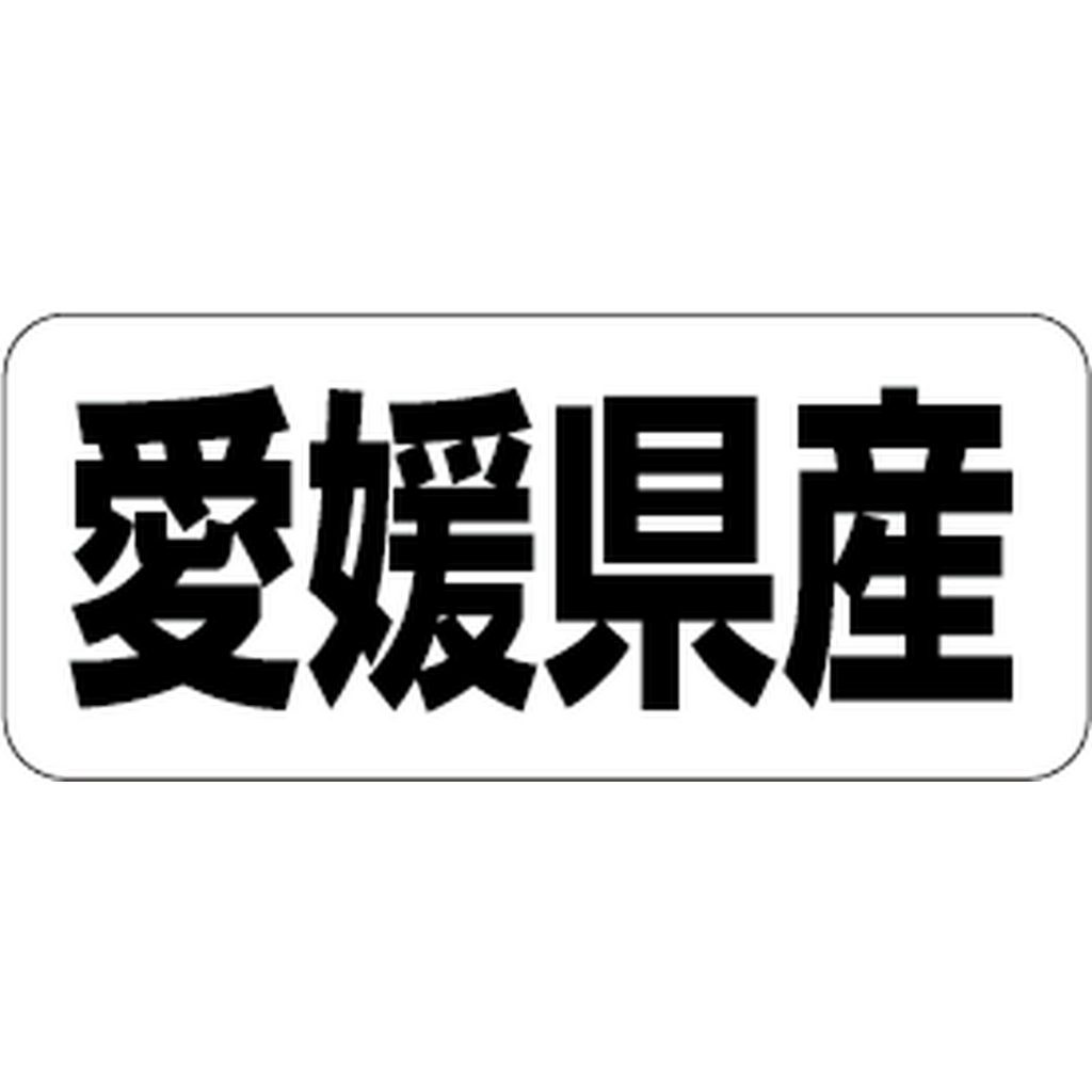 ARC POPシール 愛媛県産 RE【35mm×15mm】500枚入 LRF0038S-01