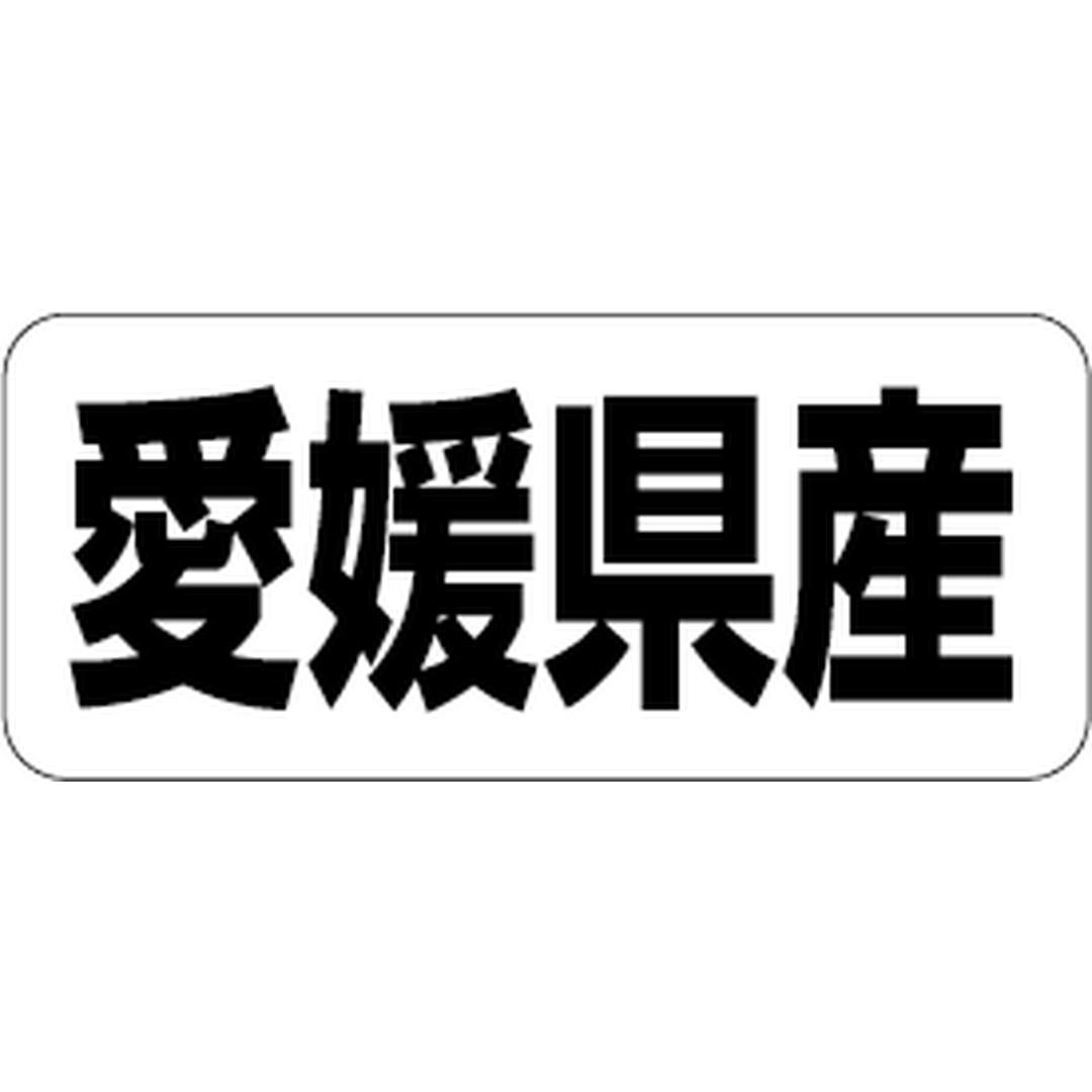 ARC POPシール 愛媛県産 RE【35mm×15mm】500枚入 LRF0038S-01