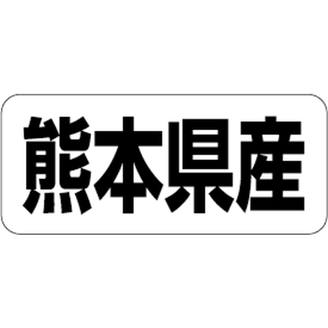 ARC POPシール 熊本県産 RE【35mm×15mm】500枚入 LRF0044S-01