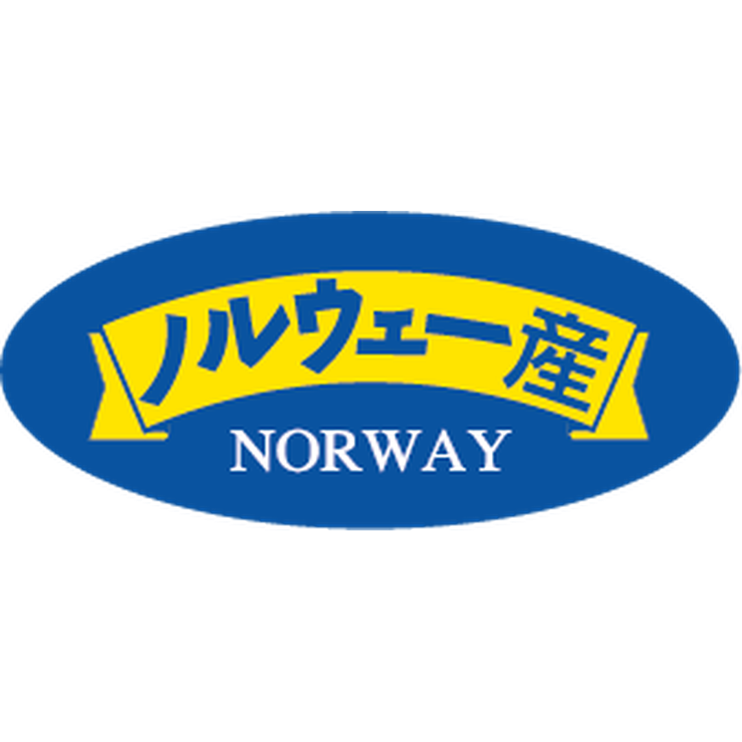 ARC POPシール ノルウェー産ﾀﾞｴﾝRE【35mm×15mm】500枚入 LSI0001S-01