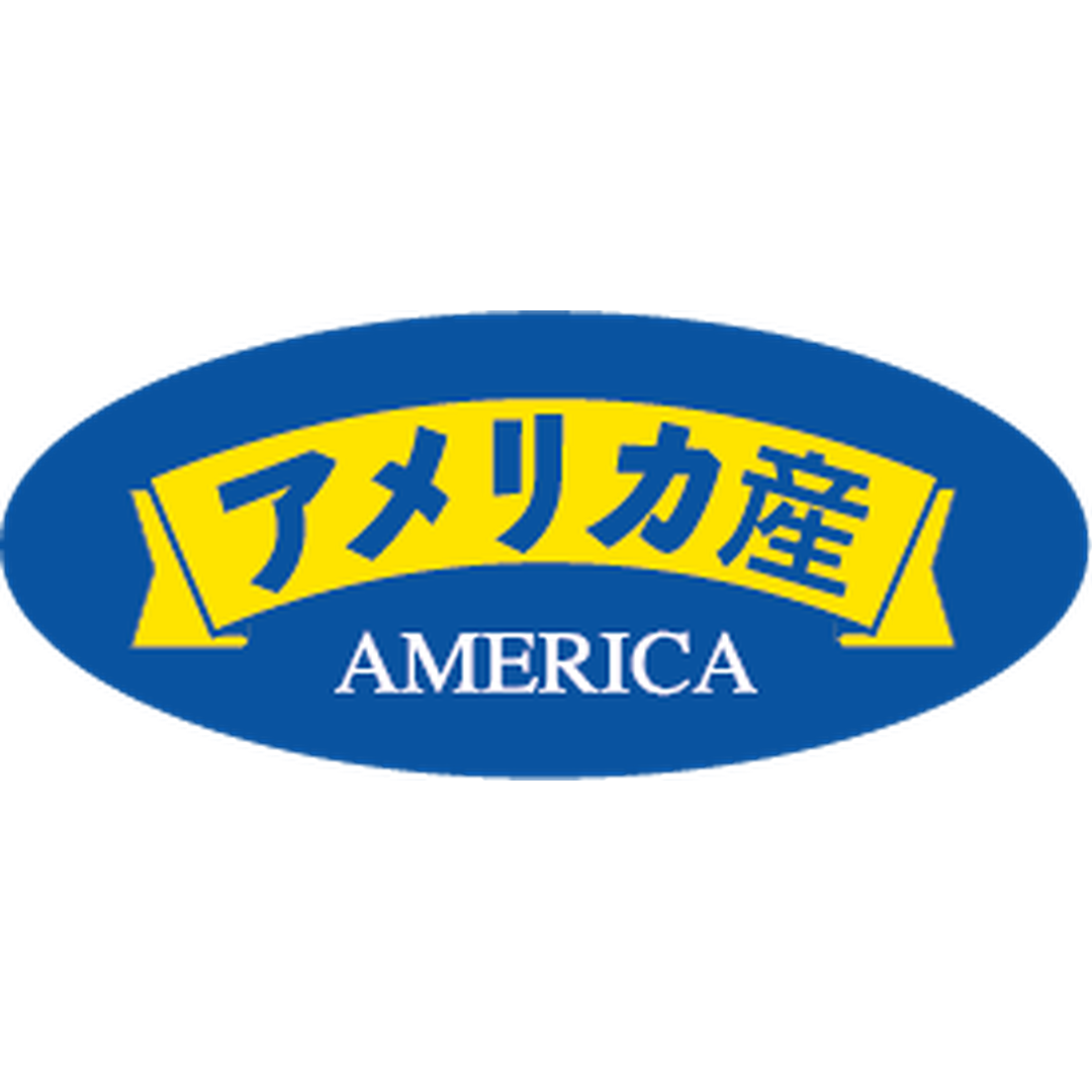 ARC POPシール アメリカ産ﾀﾞｴﾝ RE【35mm×15mm】500枚入 LSI0002S-01