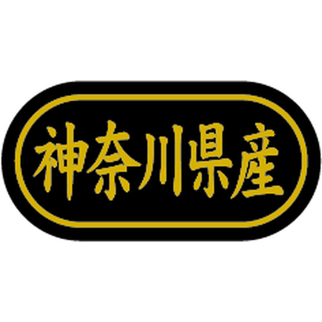 ARC POPシール 神奈川県産 金箔BR【30mm×15mm】500枚入 LSL0014S-01