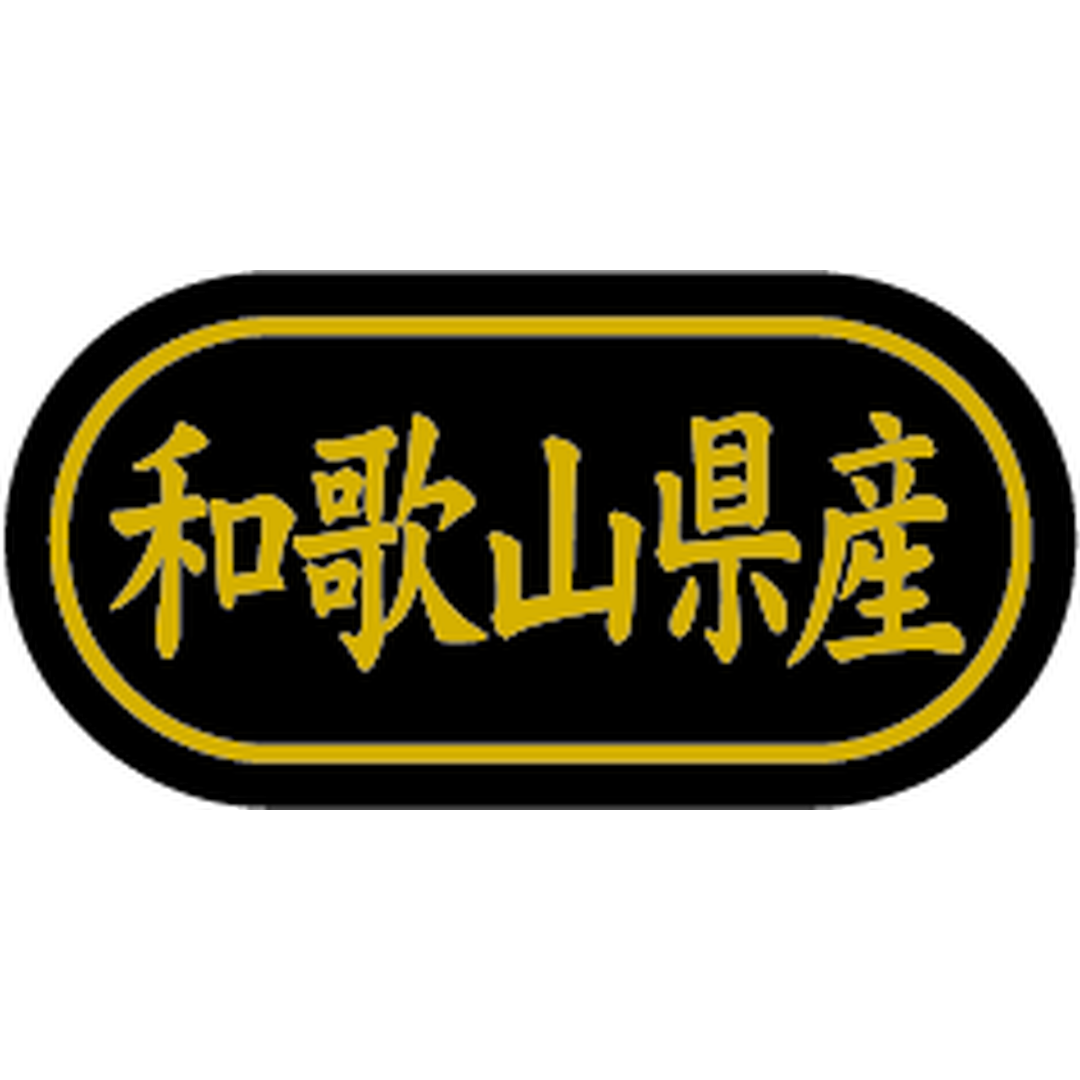 ARC POPシール 和歌山県産 金箔BR【30mm×15mm】500枚入 LSL0030S-01