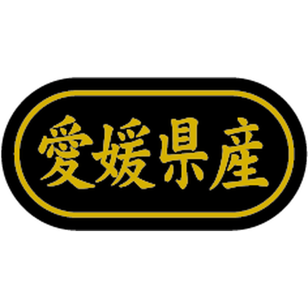 ARC POPシール 愛媛県産 金箔 BR【30mm×15mm】500枚入 LSL0038S-01
