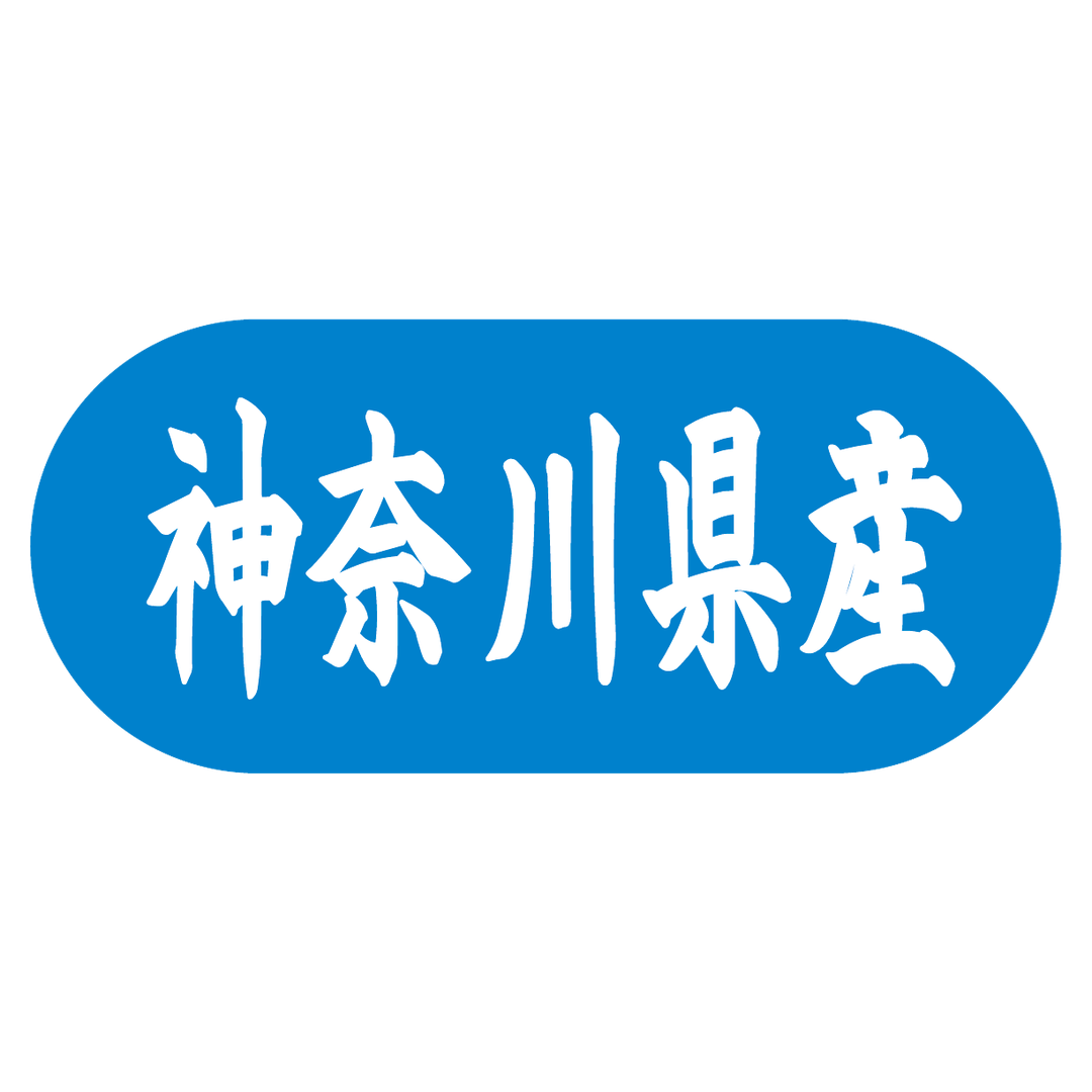 ARC POPシール 神奈川県産ﾄﾗｯｸ GR【34mm×15mm】1500枚入 LVM0014S-02