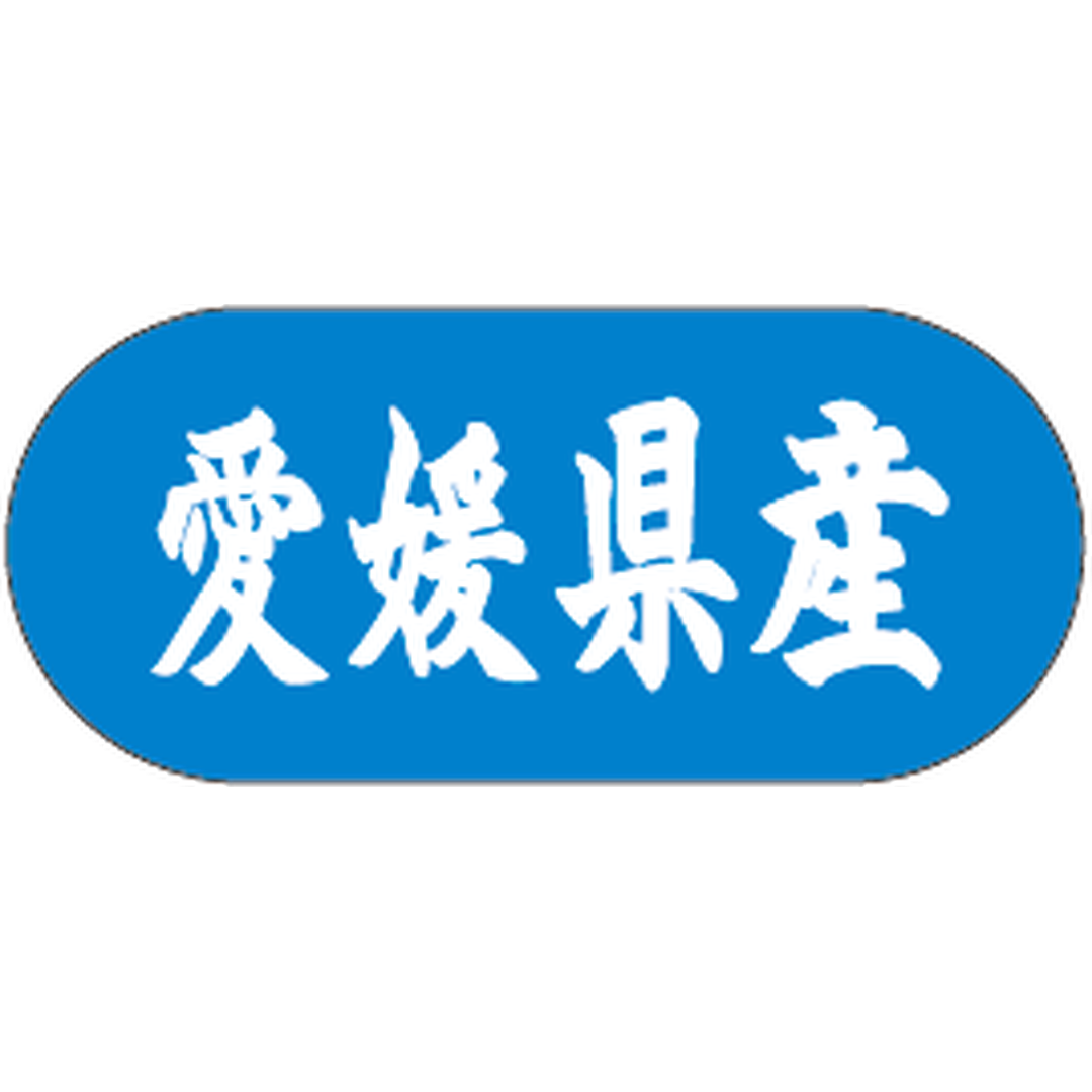 ARC POPシール 愛媛県産ﾄﾗｯｸ GR【34mm×15mm】1500枚入 LVM0038S-01