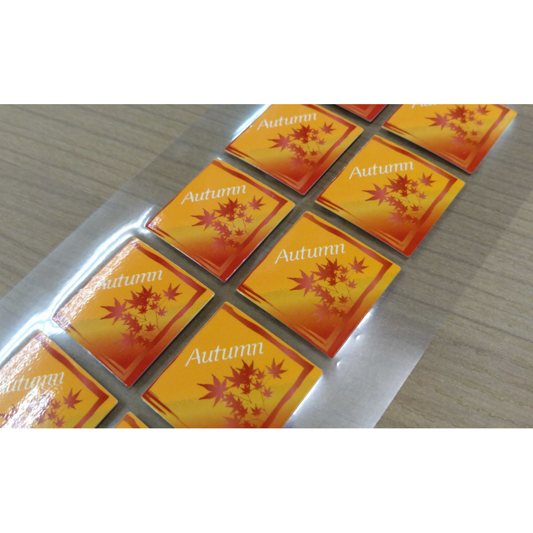 ARC POPシール AUTUMN ﾋﾟｯｸ RE【25mm×25mm】100枚入 LX607S-01