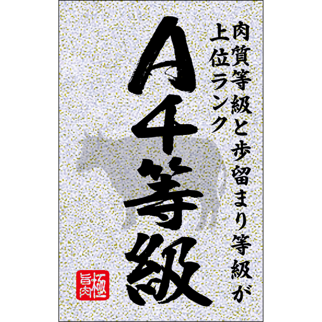 ARC POPシール A4等級 銀ﾋﾟｶ BR【35mm×55mm】200枚入 LY628S-01