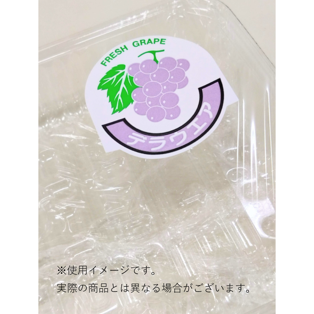 ARC POPシール デラウェア BU【53mm×60mm】500枚入 LZ1S-02
