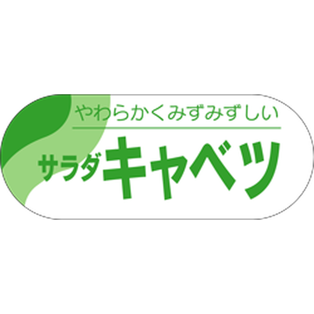 ARC POPシール サラダキャベツ RE【51mm×20mm】500枚入 LZ267S-01