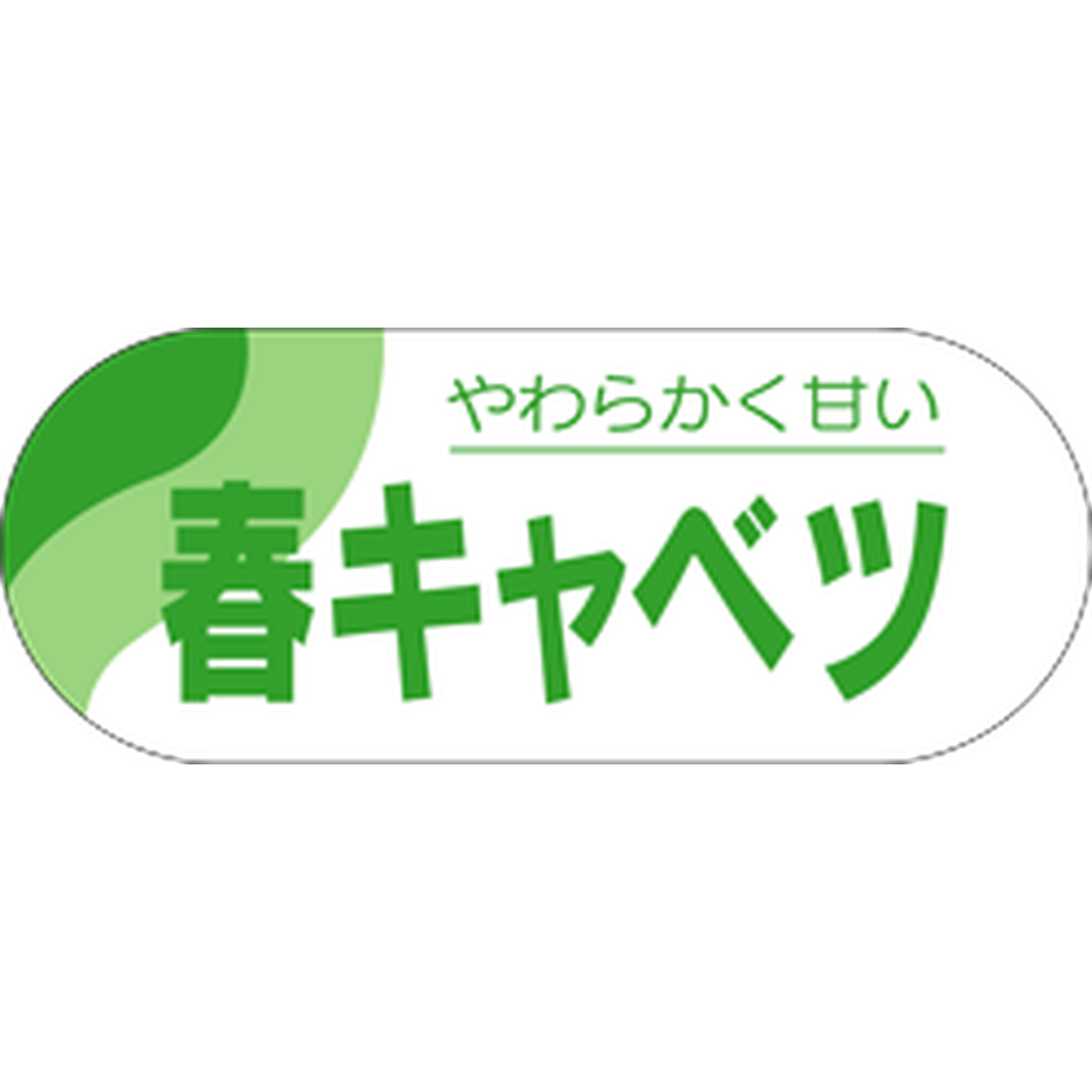 ARC POPシール 春キャベツ RE【51mm×20mm】500枚入 LZ268S-01