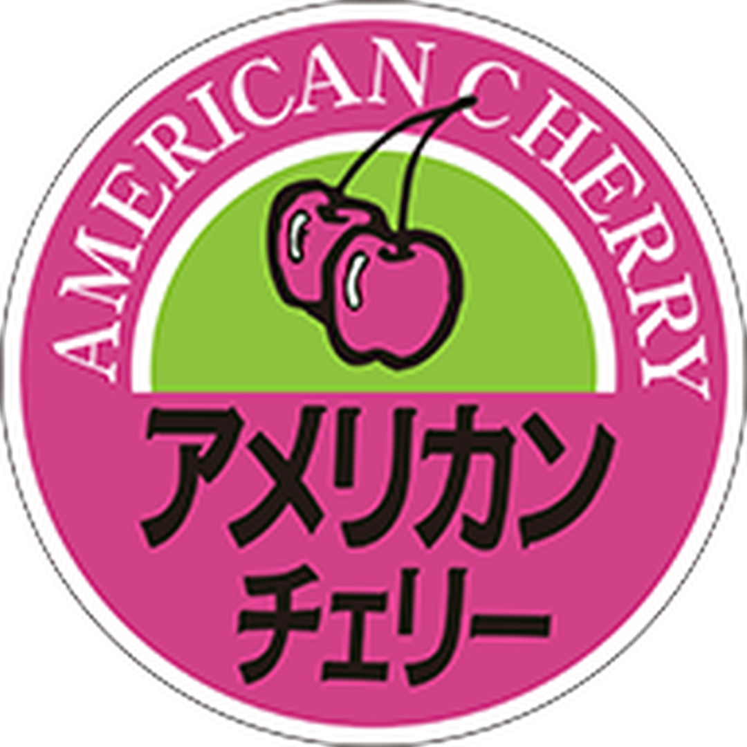 ARC POPシール アメリカンチェリOR【40mm×40mm】500枚入 LZ370S-01