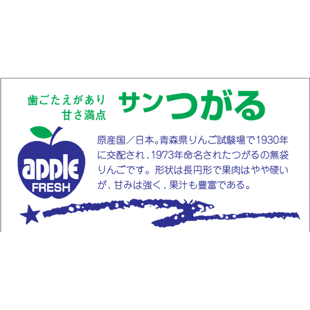 ARC POPシール サンつがる 角OR【80mm×40mm】300枚入 LZ401S-01