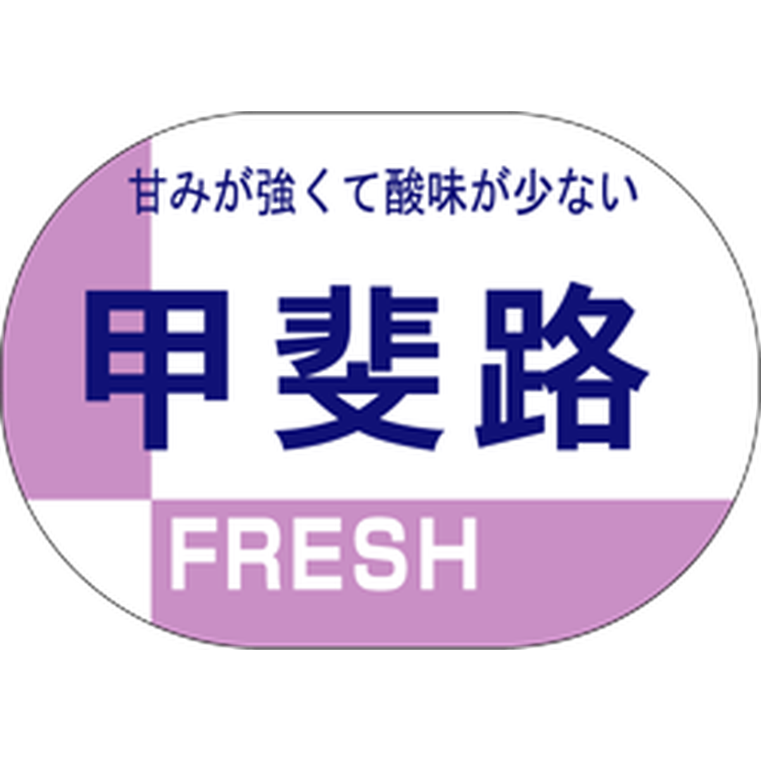ARC POPシール 甲斐路 RE【25mm×35mm】600枚入 LZ443S-01