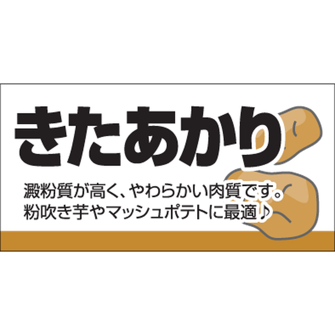 ARC POPシール きたあかりカク RE【25mm×50mm】300枚入 LZ638S-01