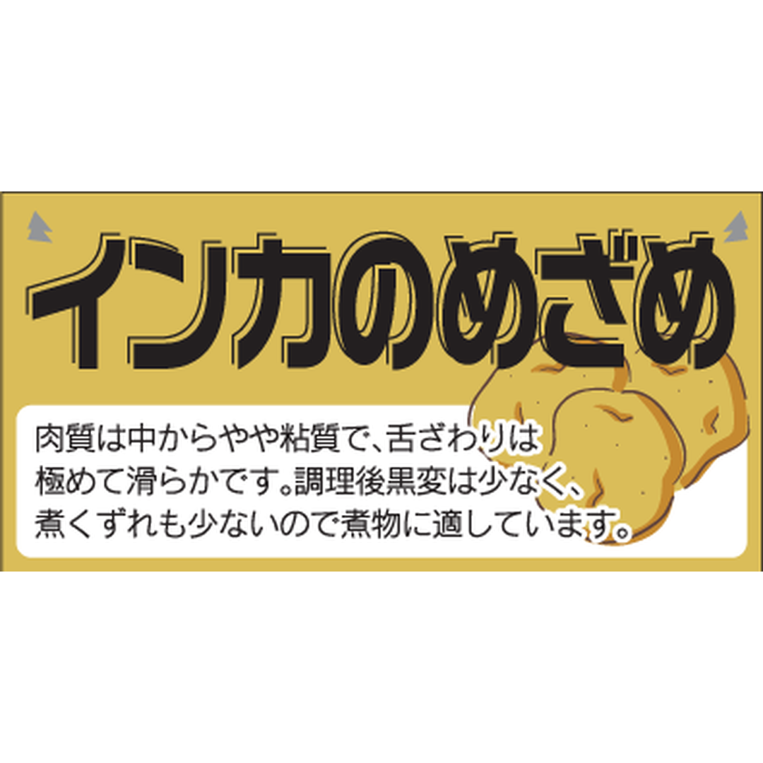ARC POPシール インカのめざめ RE【25mm×50mm】300枚入 LZ666S-01