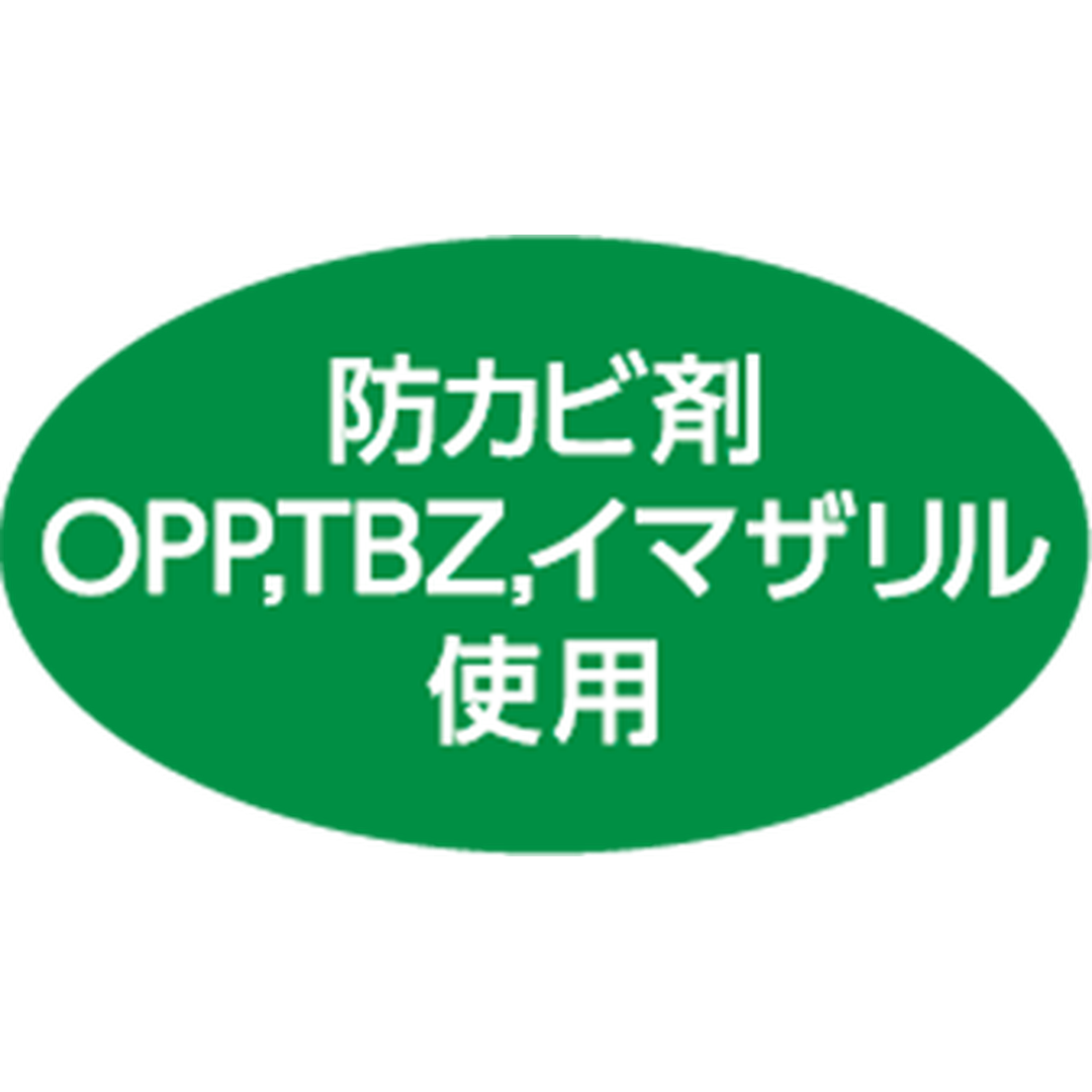 ARC POPシール 防カビ剤使用 緑RE【30mm×17mm】1000枚入 LZ687S-01