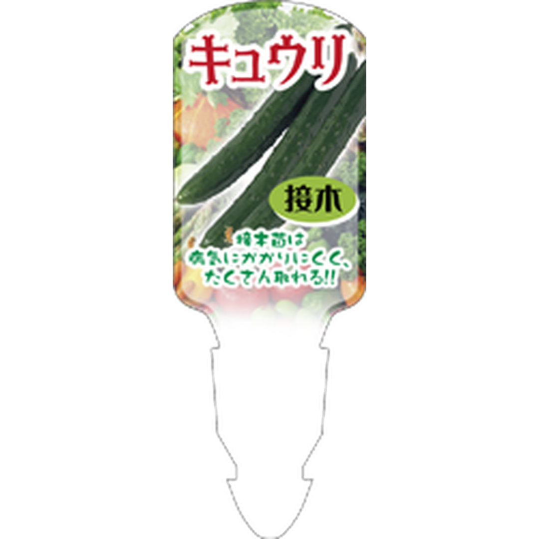 ARC キュウリ ツギキ ツインフック 園芸用ラベル【139.5mm×50mm】100枚入 T1SLA011-01