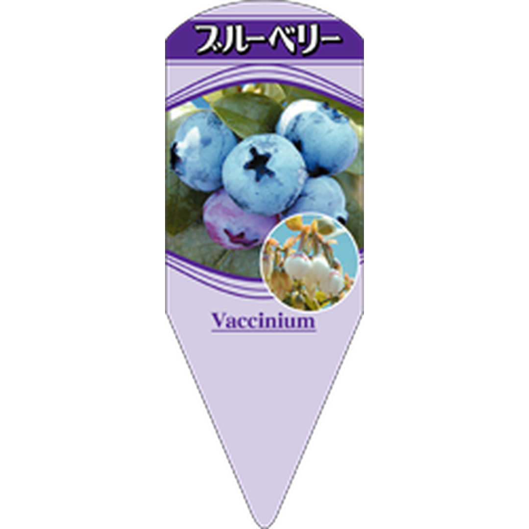 ARC ブルーベリー L 園芸用ラベル【132.5mm×50mm】100枚入 T1SMF001-01