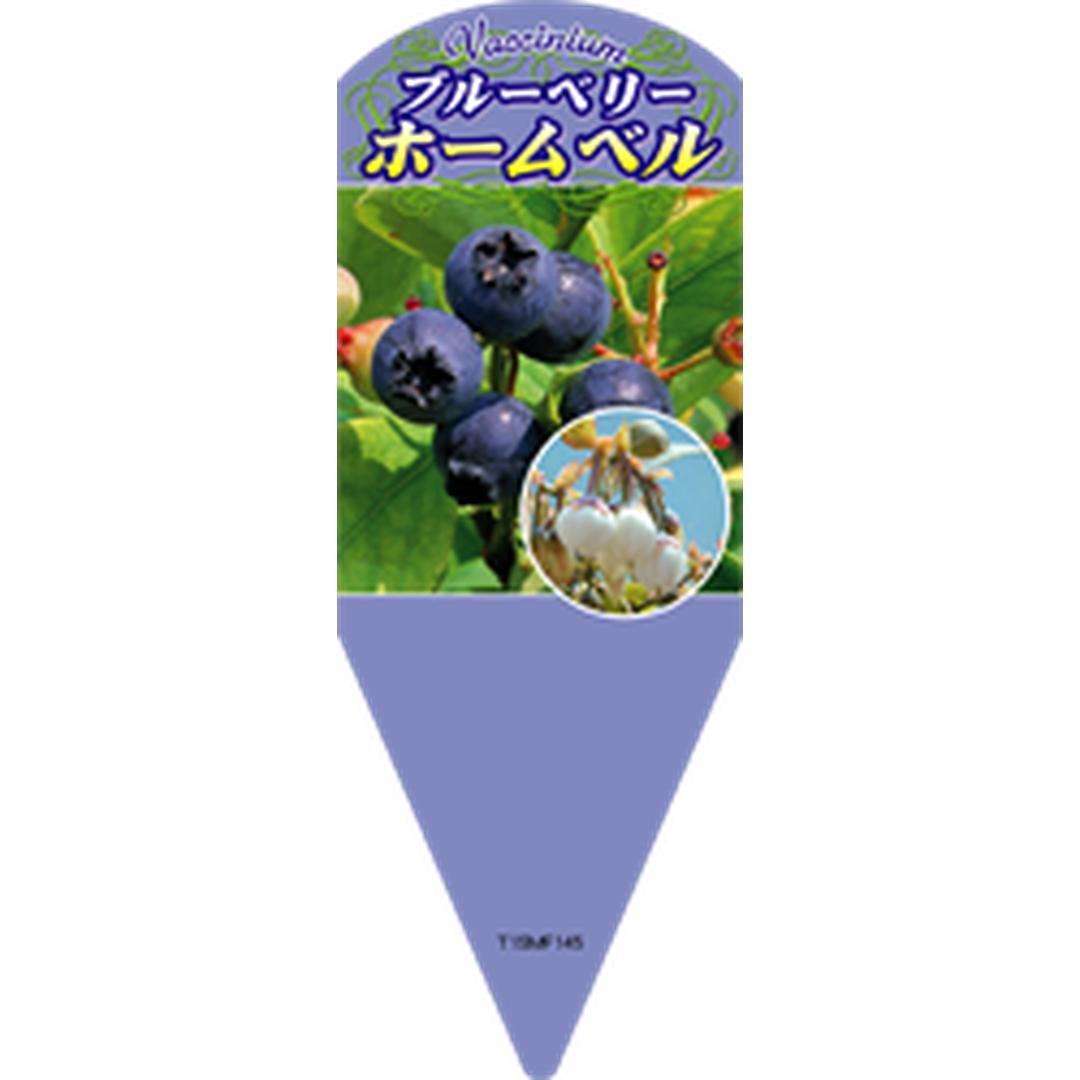 ARC ブルーベリーホームベル サシ L 園芸用ラベル【132.5mm×50mm】100枚入 T1SMF145-01
