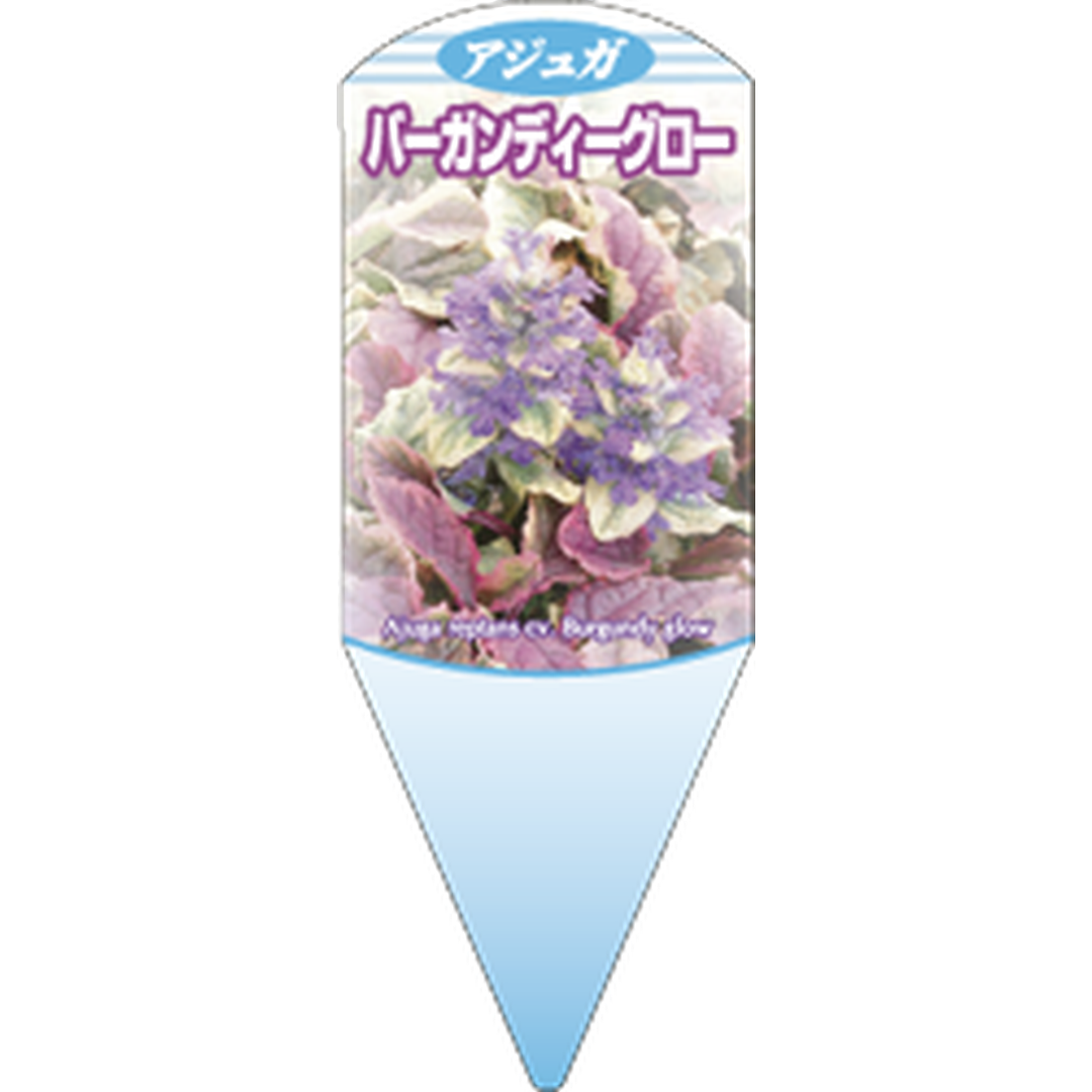 ARC アジュガバーガンディグロ L 園芸用ラベル【132.5mm×50mm】100枚入 T1SMF161-01