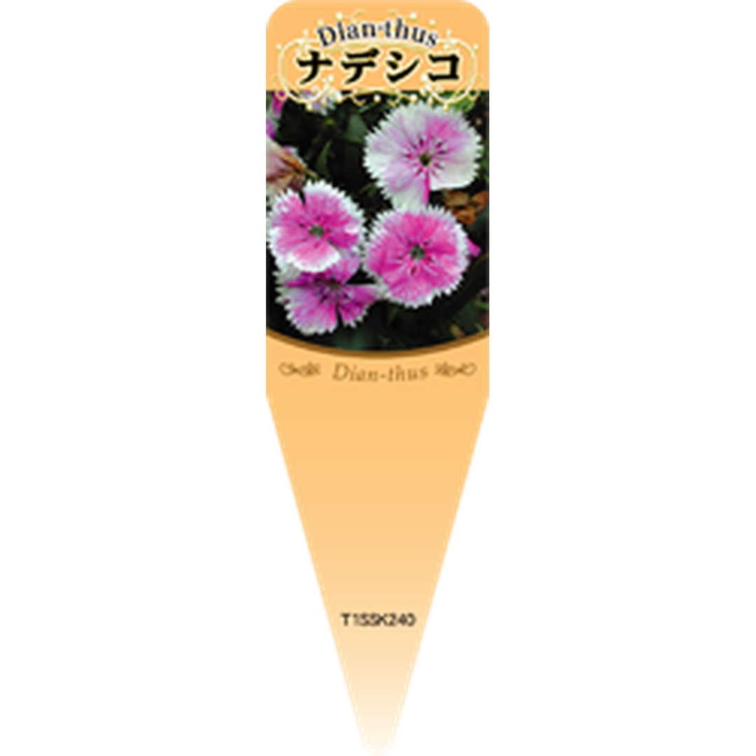 ARC ナデシコ 5 Ｓ 園芸用ラベル【115mm×34mm】100枚入 T1SSK240-01