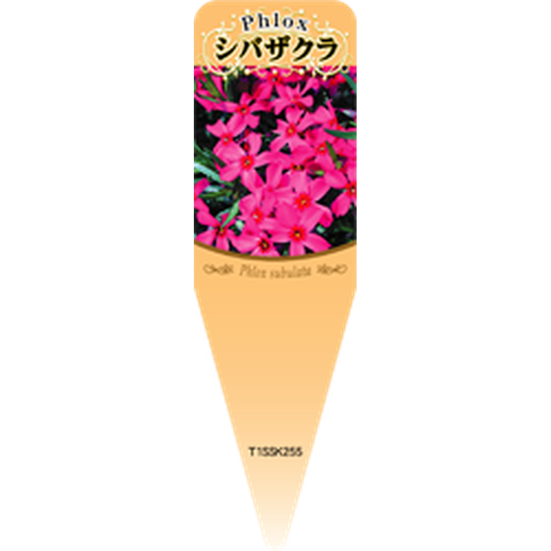 ARC シバザクラ アカ S 園芸用ラベル【115mm×34mm】100枚入 T1SSK255-01