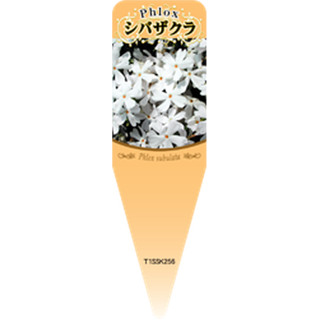 ARC シバザクラ シロ S 園芸用ラベル【115mm×34mm】100枚入 T1SSK256-01