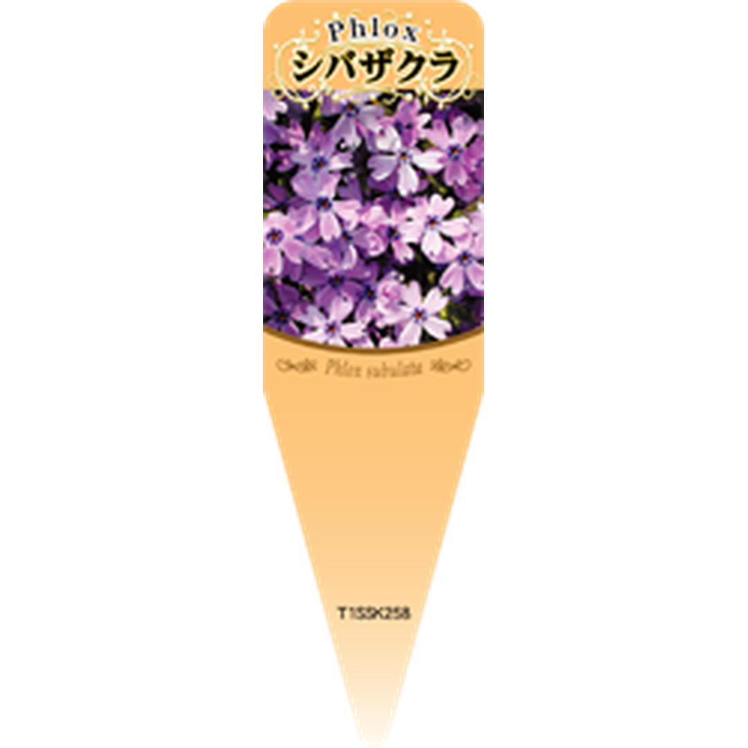 ARC シバザクラ ムラサキ S 園芸用ラベル【115mm×34mm】100枚入 T1SSK258-01