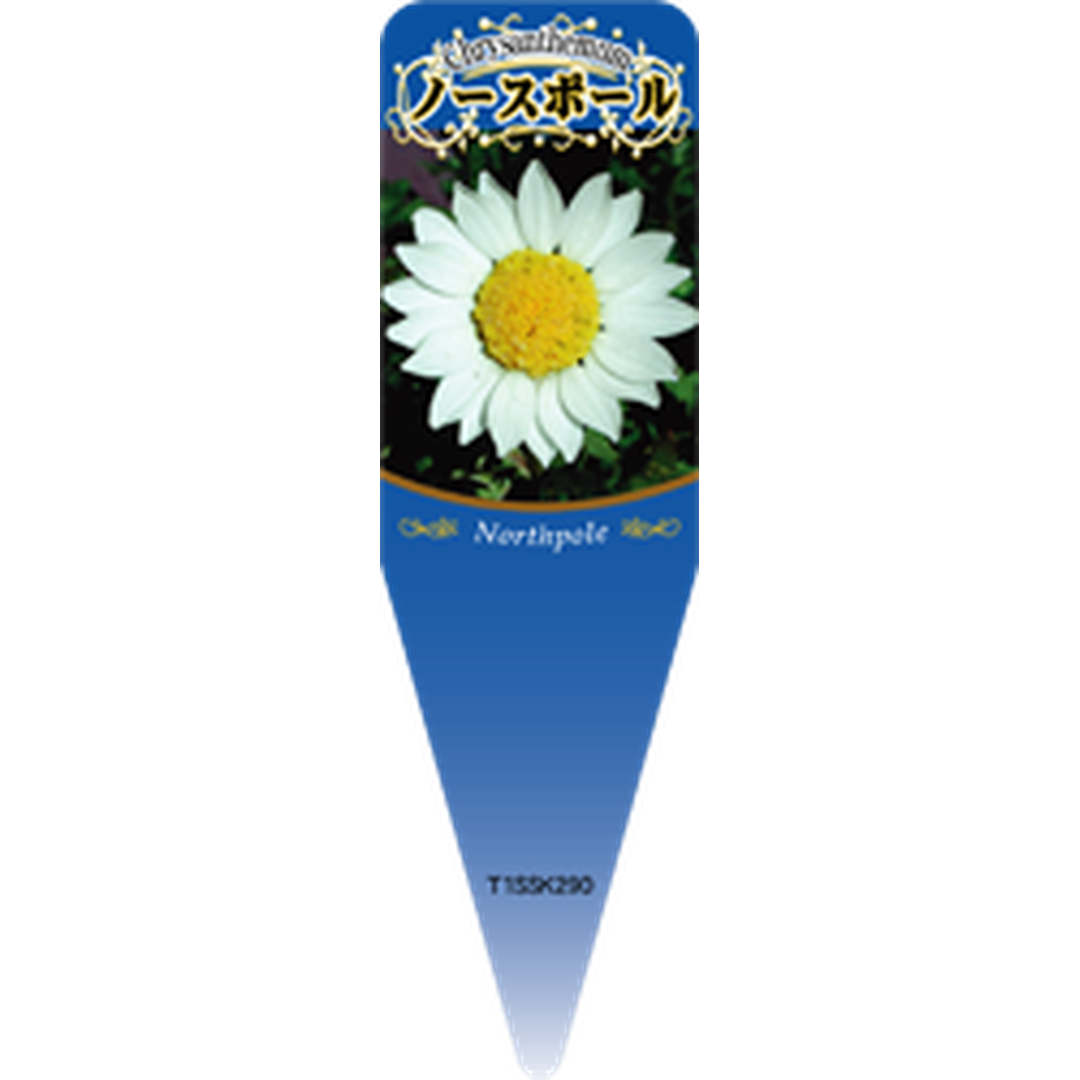 ARC クリサンセマム ノースポール S 園芸用ラベル【115mm×34mm】100枚入 T1SSK290-01