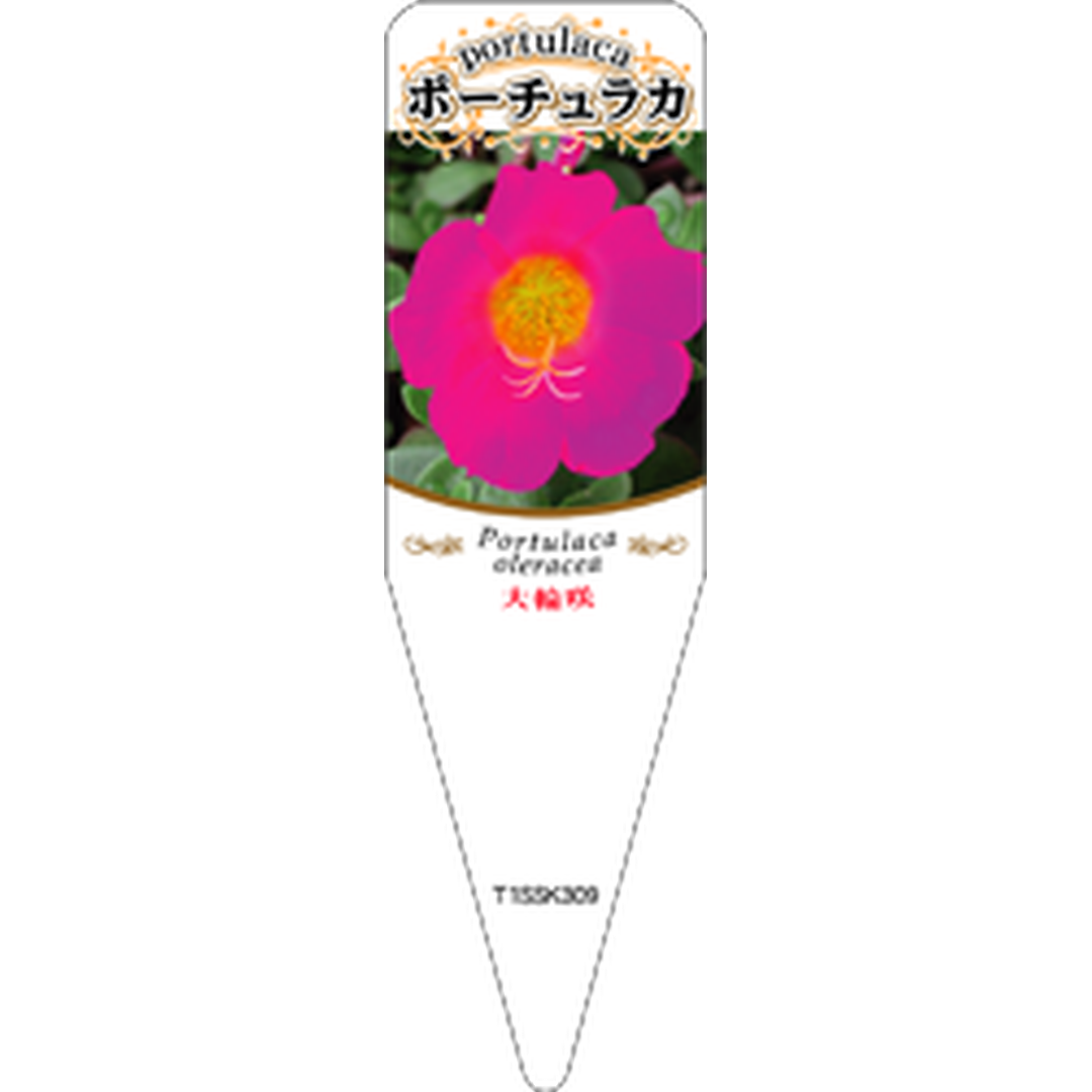 ARC タイリン ポーチュラカ 4 S 園芸用ラベル【115mm×34mm】100枚入 T1SSK309-01