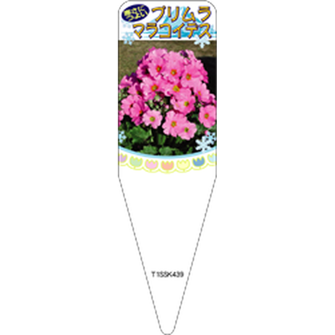 ARC プリムラマラコイデス ピンク S 園芸用ラベル【115mm×34mm】100枚入 T1SSK439-01