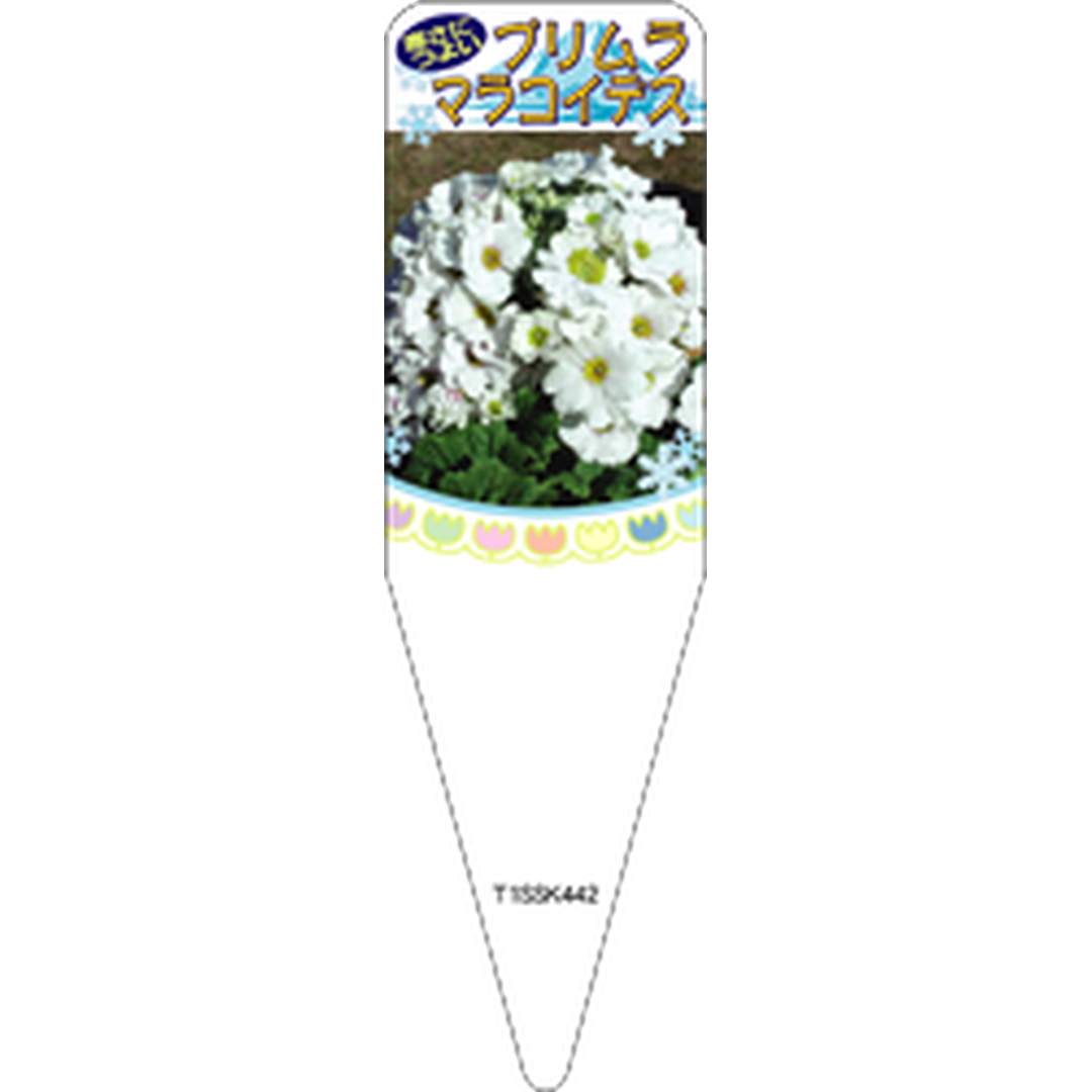 ARC プリムラマラコイデス ホワイト 2S 園芸用ラベル【115mm×34mm】100枚入 T1SSK442-01