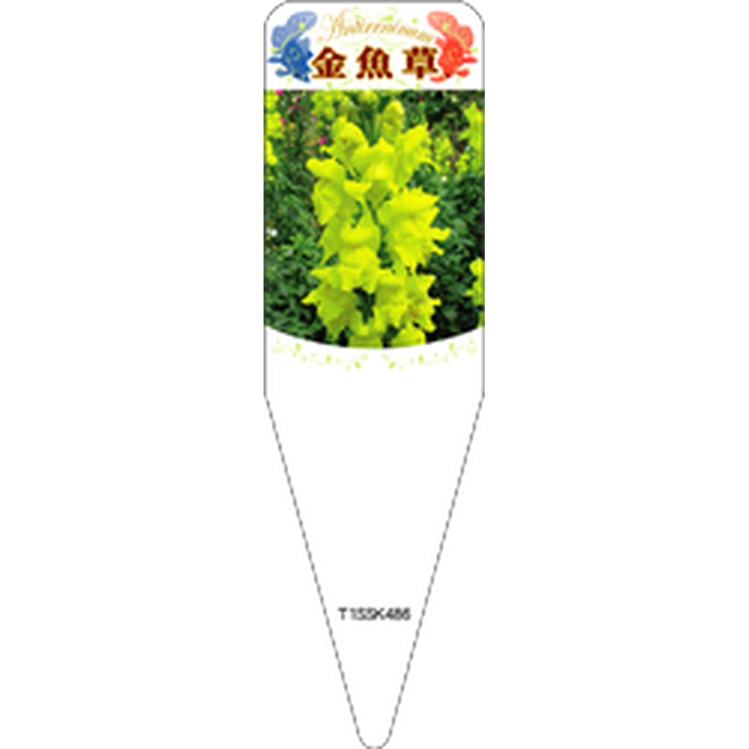 ARC キンギョソウ キイロ Ｓ 園芸用ラベル【115mm×34mm】100枚入 T1SSK486-01