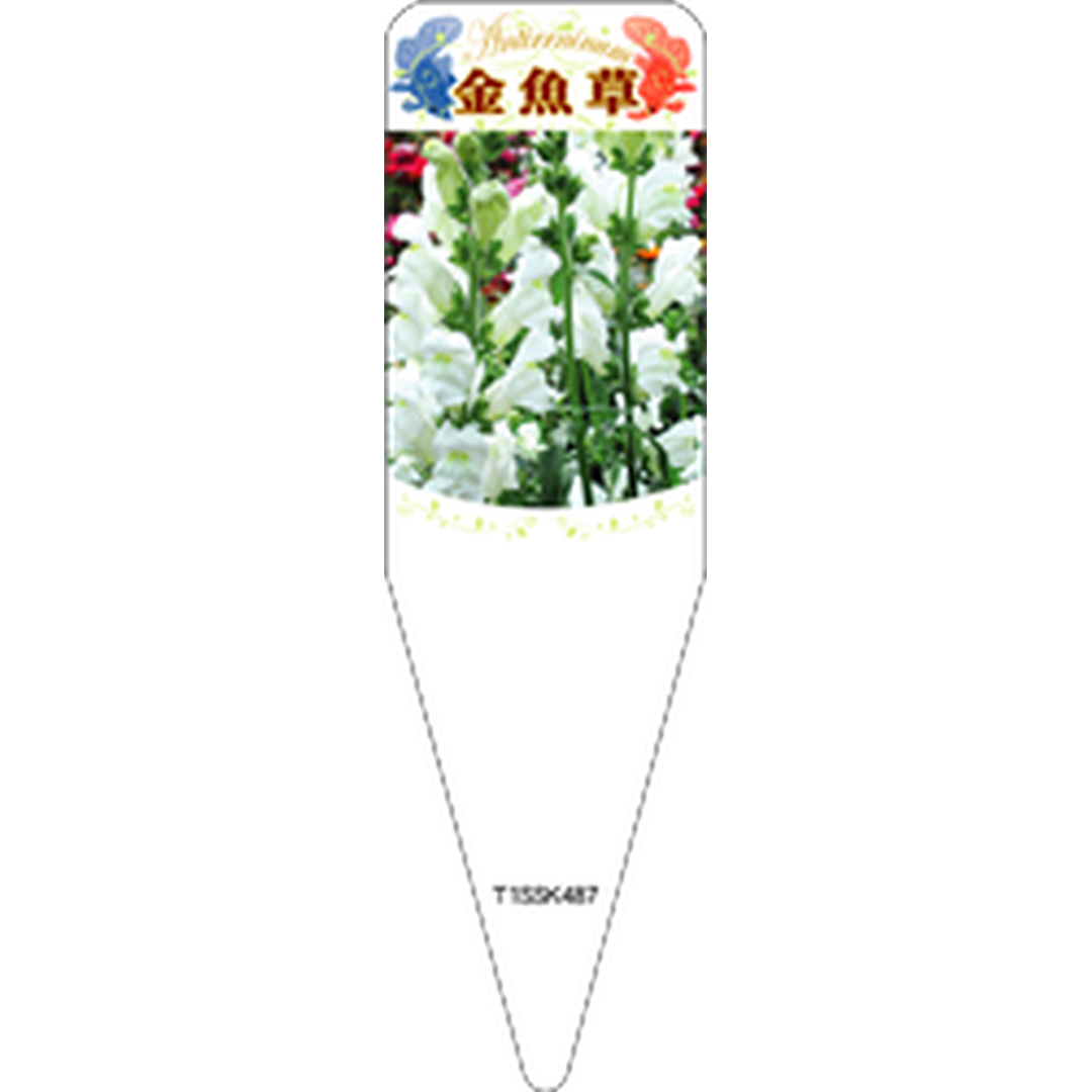 ARC キンギョソウ シロ Ｓ 園芸用ラベル【115mm×34mm】100枚入 T1SSK487-01