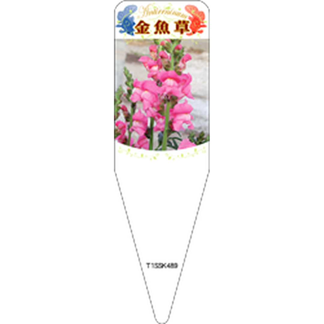 ARC キンギョソウ ピンク Ｓ 園芸用ラベル【115mm×34mm】100枚入 T1SSK489-01