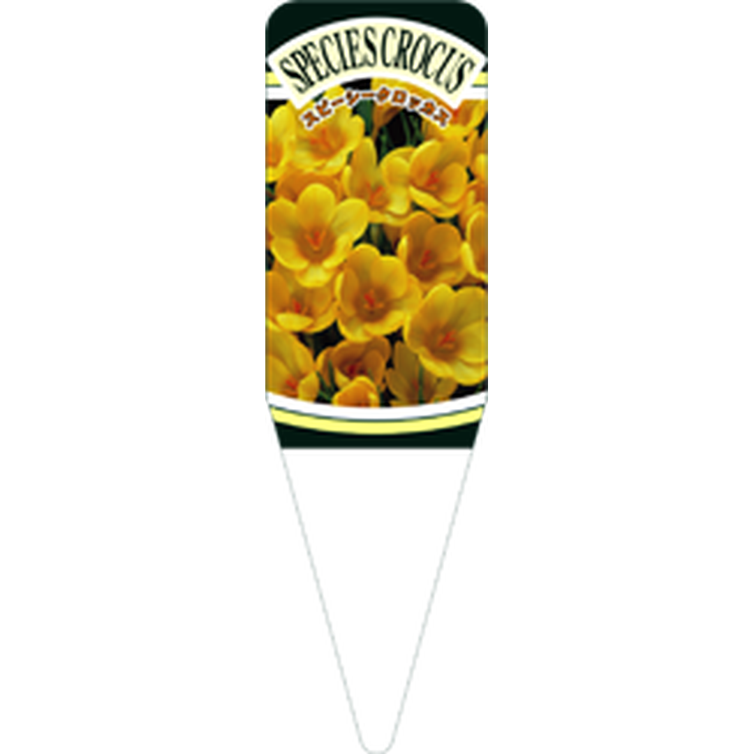 ARC スピーシークロッカス Ｅ・PボーS 園芸用ラベル【115mm×34mm】100枚入 T1SSK563-01