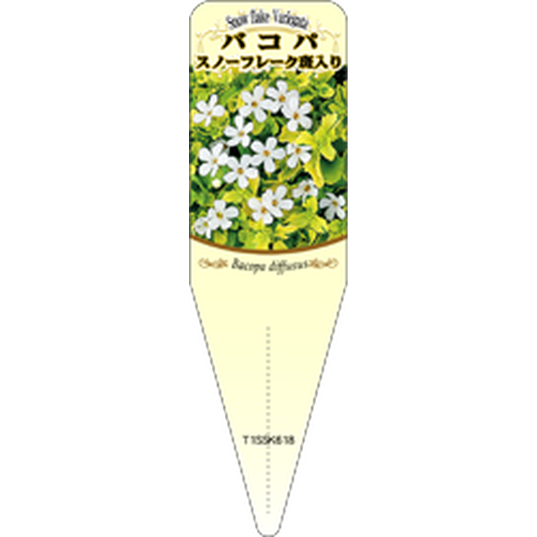 ARC バコパ スノーフレークフイリ S 園芸用ラベル【115mm×34mm】100枚入 T1SSK618-01