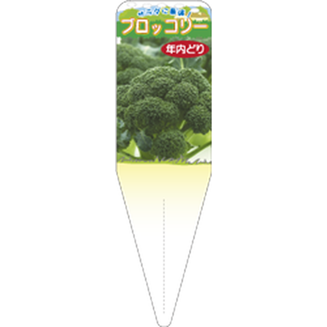 ARC ブロッコリー ネンナイドリ S 園芸用ラベル【115mm×34mm】100枚入 T1SSK699-01