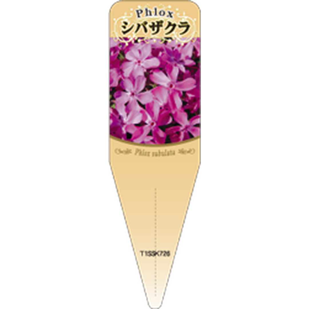 ARC シバザクラダニエルクッション Ｓ 園芸用ラベル【115mm×34mm】100枚入 T1SSK726-01